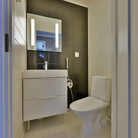 Lily Incl Fireplace, Wifi, Ac, Sauna * Levi